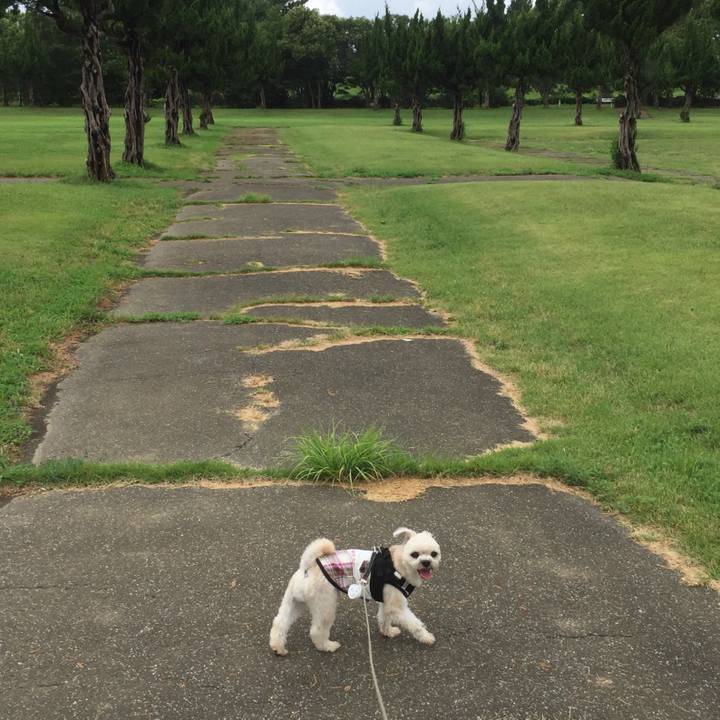 17ef7f66 6f41 4f4b 8359 37948691da78 1532921443149