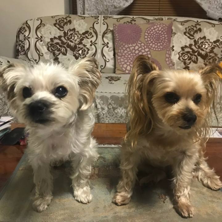 17ef8cc7 1ad0 484c a829 4647c4b64058 1570612511065