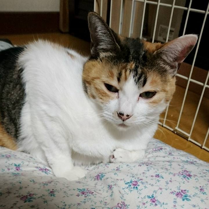 17efc488 abec 4f92 b05d 602e3adce970 1514982019507