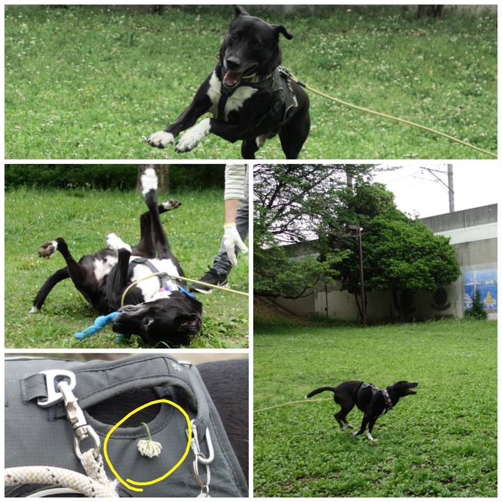 17efdf34 b6f3 4d30 83a6 f06cc4cbf5b1 1651107652593