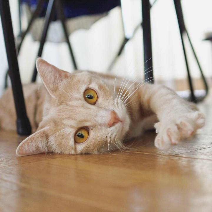 17f00366 43a2 4902 8ca0 d077f0407633 1573781909617