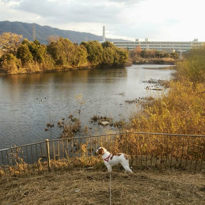 17f026b9 ccba 469d 88a6 e20c1f444c9b 1547713343114