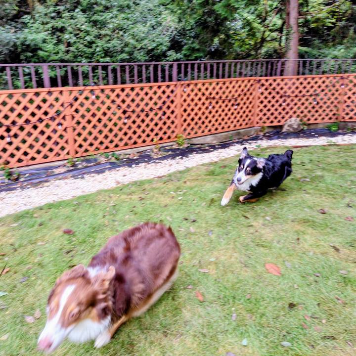 17f0ab77 b164 4338 b2f8 4ef47525e47d 1760267535252