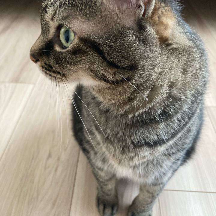 17f0e36b baef 4a04 9042 4fe461680413 1752891329982