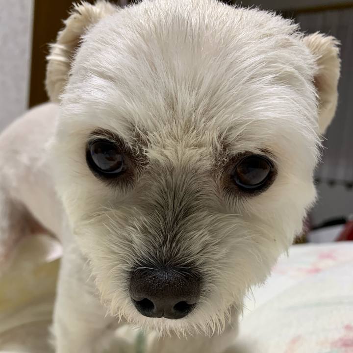 17f0e749 c03c 4d3f 9603 a1f4d8b02f0b 1621600732113