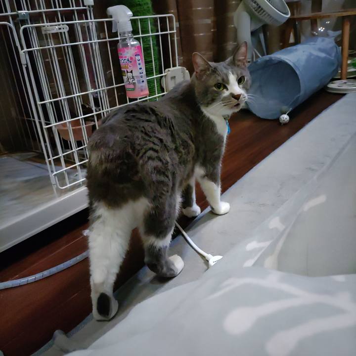 17f1265c ec94 4351 a564 fc806e9f0ab4 1707220605350