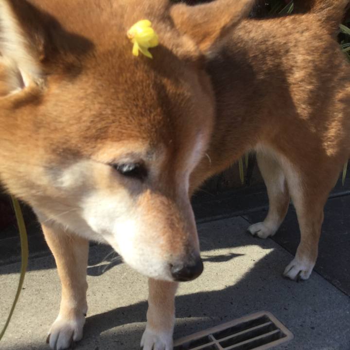 17f13a3c b50b 45b5 81aa 92af0072c142 1612686390699