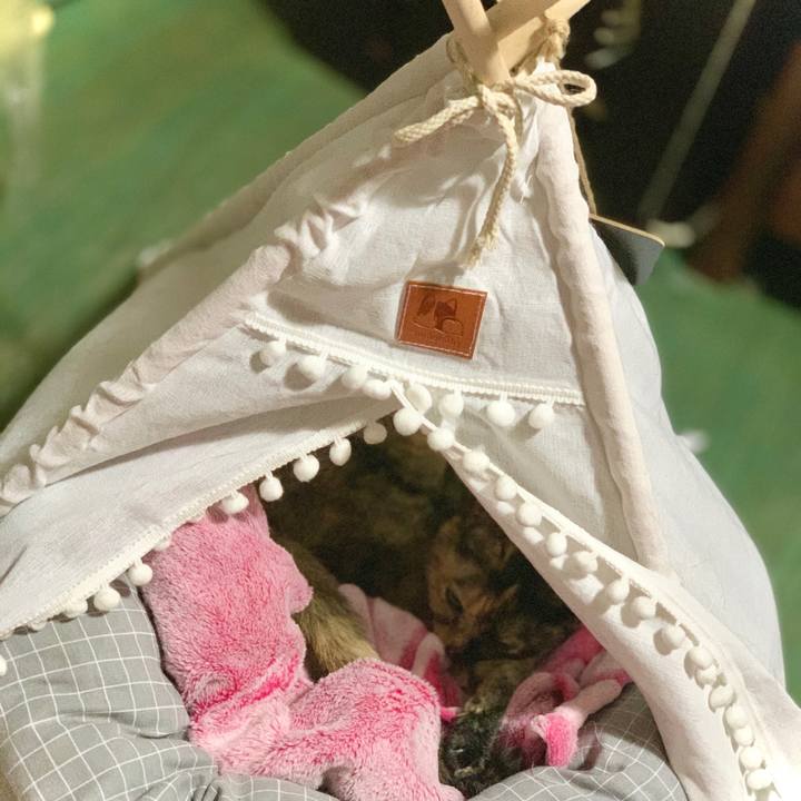 17f14c88 8016 4347 bcef f0c496b796cf 1602516941273