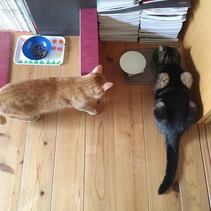 17f1787c 24de 47de 95d3 98e7819650ba 1530144818164