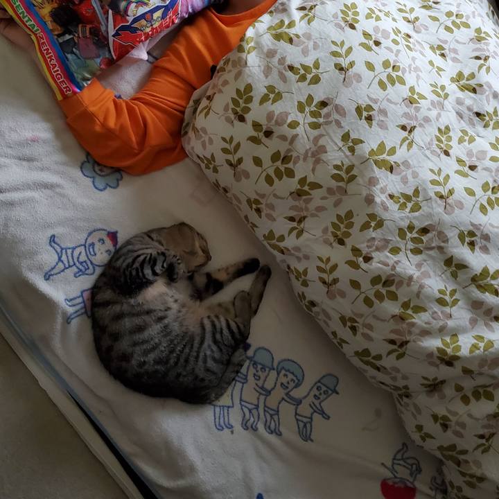 17f178ef 277e 4681 b373 54310872dfee 1721316096081