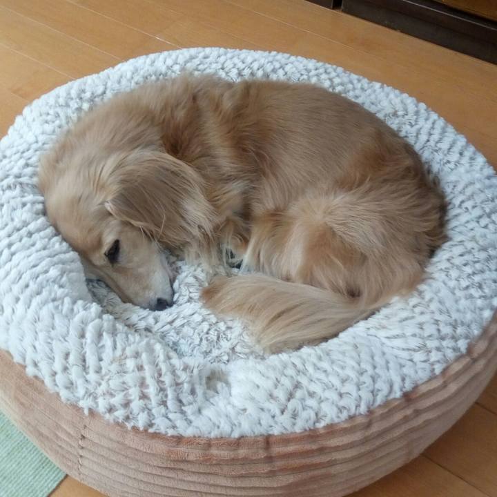 17f197c9 e53d 451d 83c0 84cb7a240f31 1543534157734