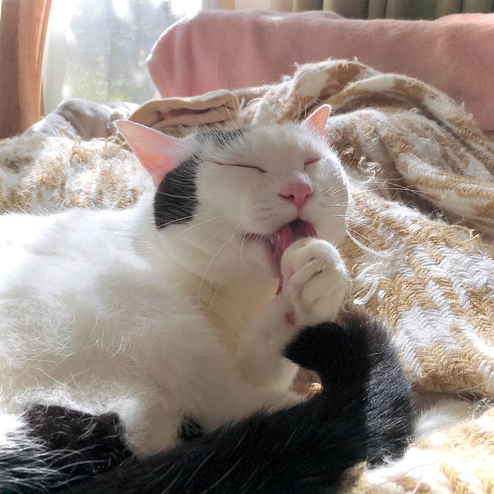 17f21e98 5b43 4ca5 a2ab 2689ba68f994 1605480970568