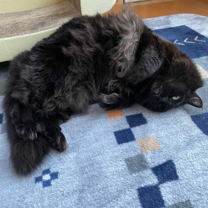 17f222de 4765 41c9 959c 3cb09e1b914f 1609912662293