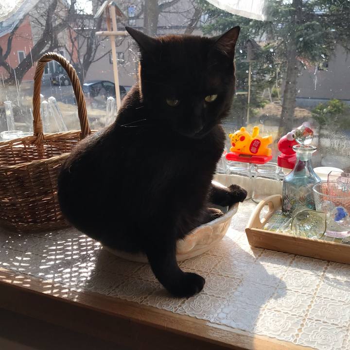 17f22615 4da9 4647 8c64 f18179ab0aaf 1587766557191