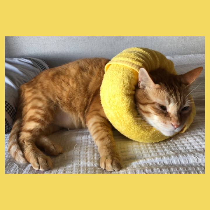 17f22803 e946 4ea6 b9f5 c4b5b7c4e121 1600724967810