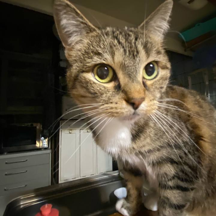 17f22c9c 2f0c 4f2f 8675 577854e0f603 1612797976859