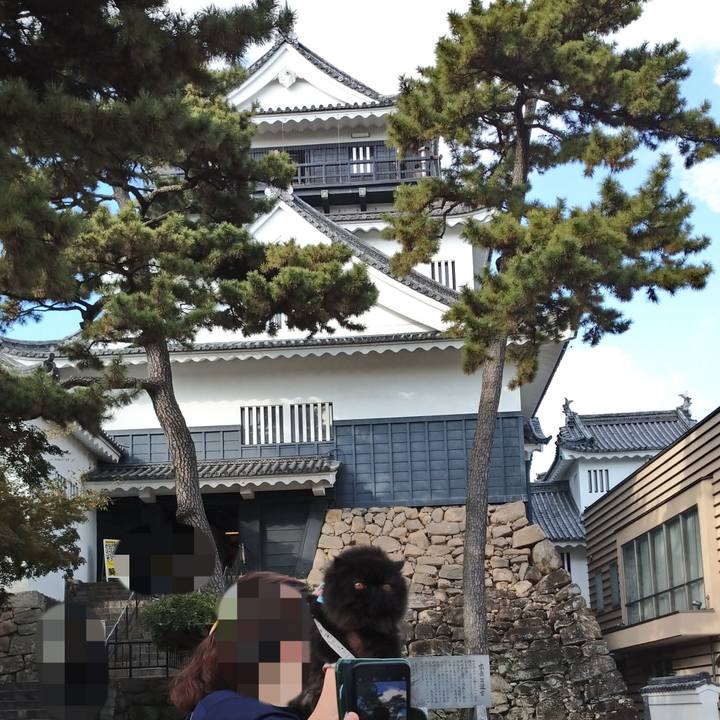 17f23eff 10bc 4b27 a2d3 7c9ddcba29ad 1635675058157