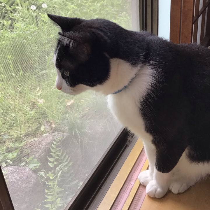 17f25188 982b 4a29 be46 8531414186f4 1714465799751