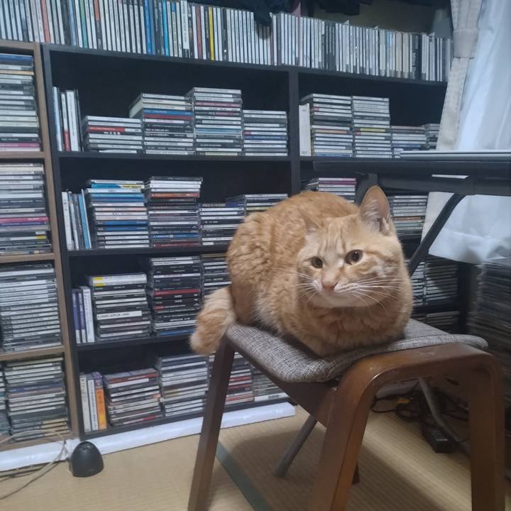 17f2540e d494 421e a1dd c88ee242184a 1684102102154