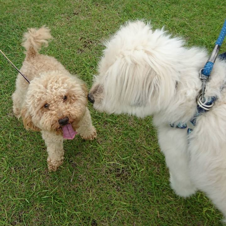 17f25f2a 4527 4ea1 9245 d8da49ef233b 1593942781124