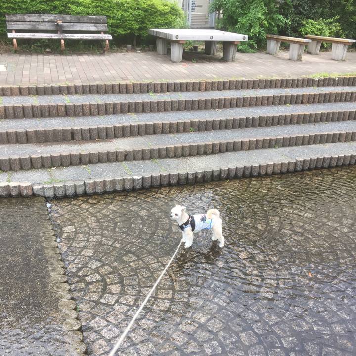 17f2b959 cc90 4ae0 b7cc 8e30897c746b 1556354198098