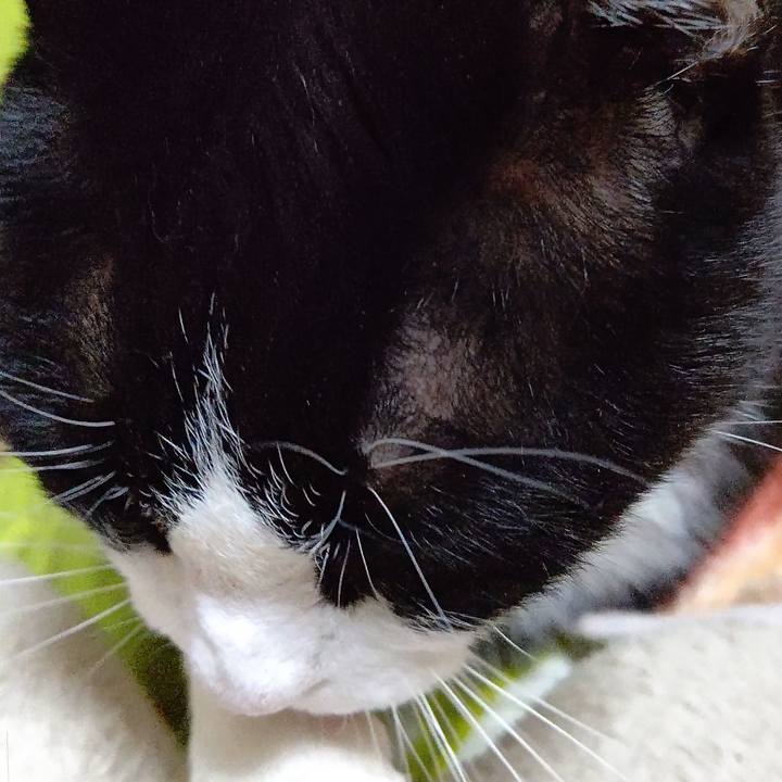 17f2b964 89f9 41c5 949e 626984c78bcc 1641762626729