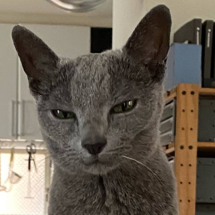 17f2c968 181e 454e be7e 7b24b76d3dd0 1592642186909