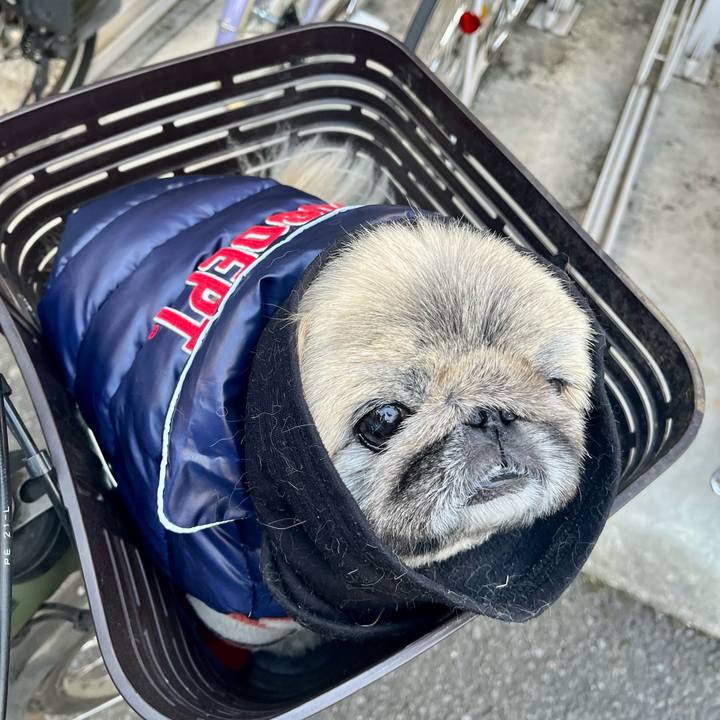 17f313ad 5365 489e 94e5 187576e2c026 1739393598807