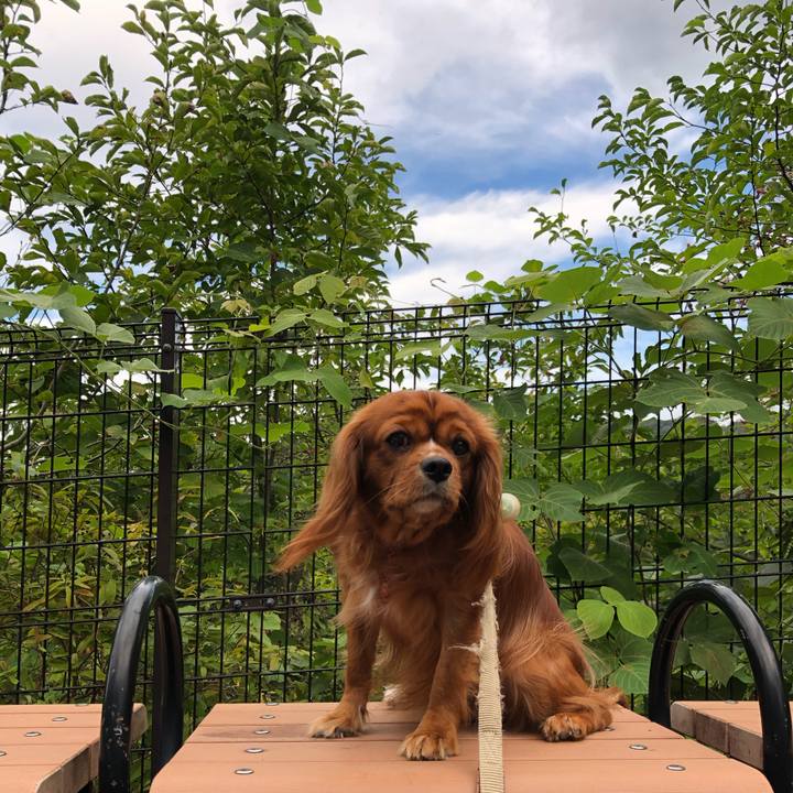 17f31c5b f9dc 42d4 b1b3 9f160466ef94 1569626234879