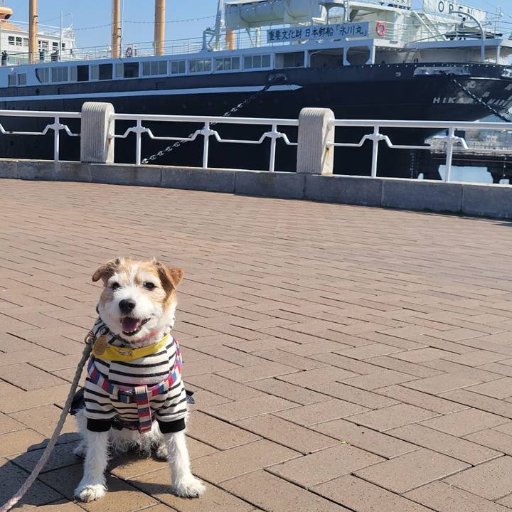 17f367af 8bb0 49b3 82f2 751b4e233067 1774057952273