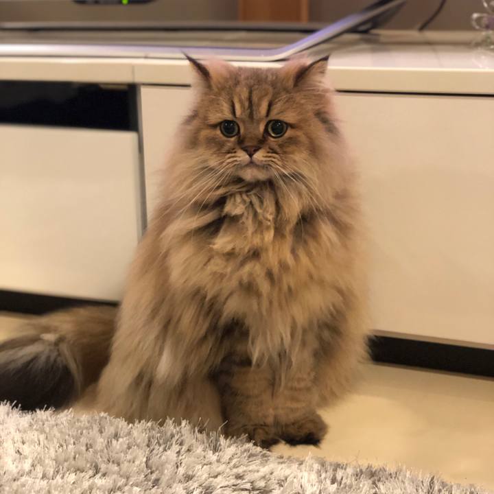 17f3b5b1 9514 470d b861 12db4376d3f0 1546768699638