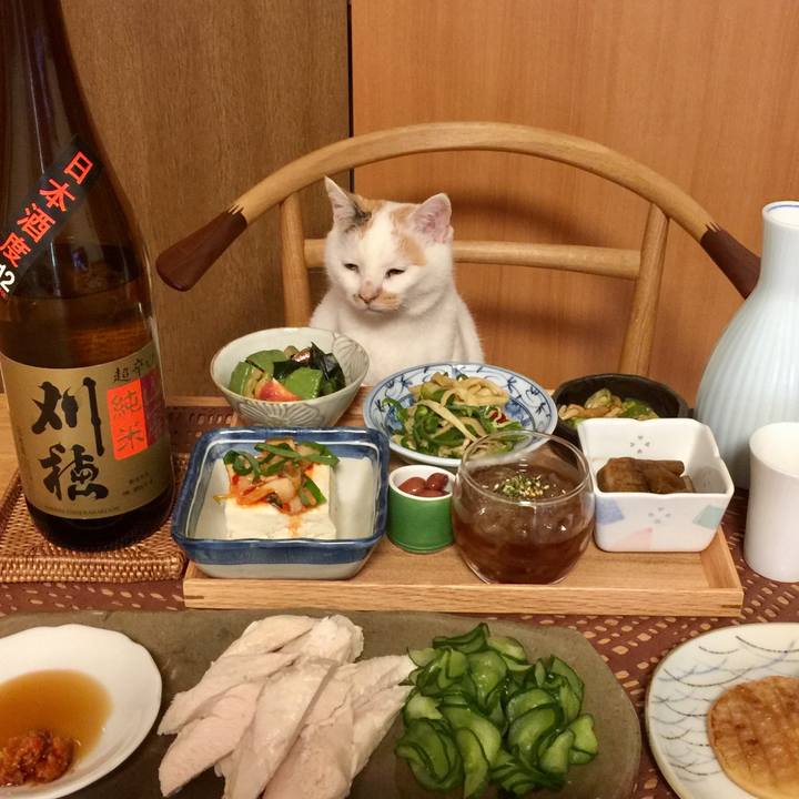 17f3ba14 dcfe 4fe4 9dd7 cb3423fc7d8d 1508756151169