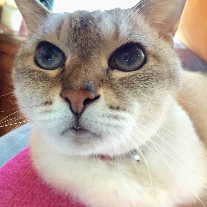 17f3ea48 2d52 499a 93da 95dbbcf80c7d 1533122673010