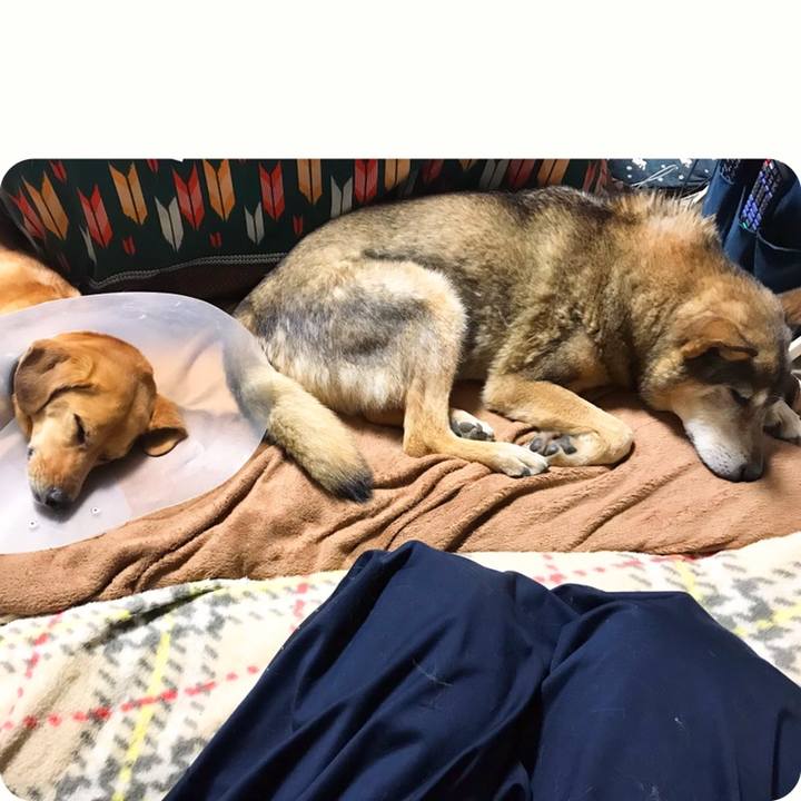 17f3f639 0f14 4b15 a649 b4132a5cd81b 1558182744346