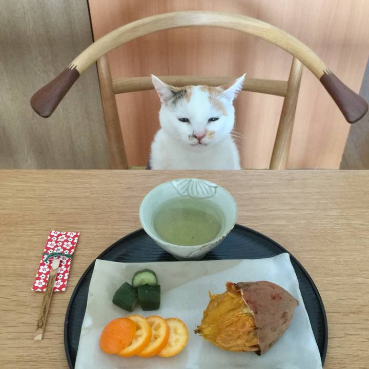 17f427cb 8469 442b a51d ce499647a4cf 1523681654061