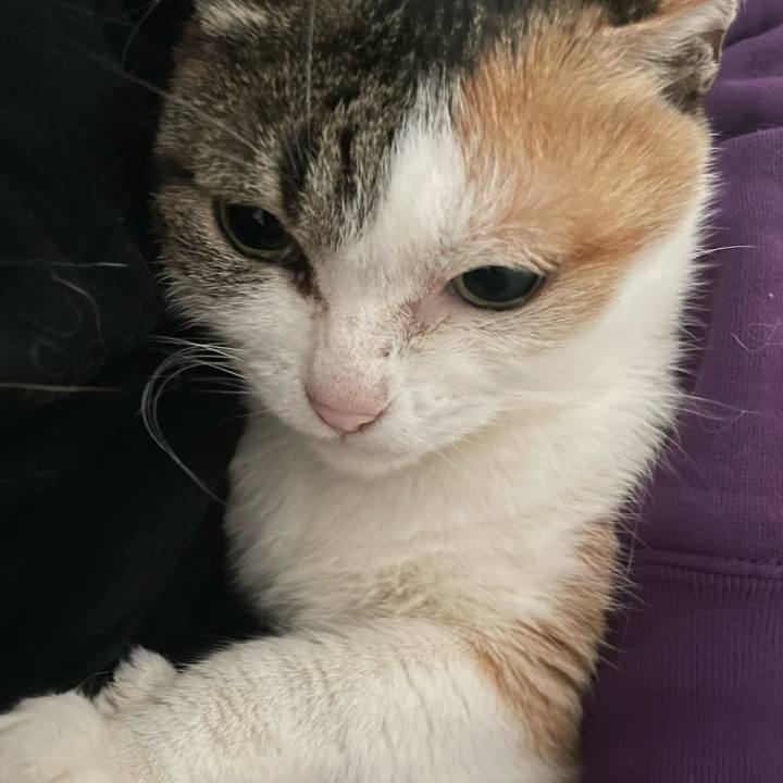 17f42ed6 fd40 4cb0 bb65 8be90cf0620c 1703775544246