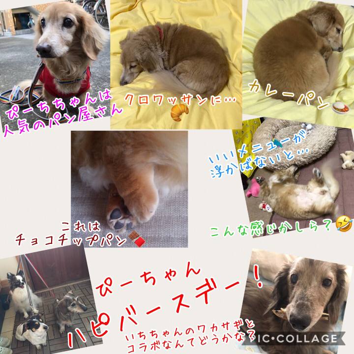 17f4571e 6d58 4a65 833c 289bb58279c7 1526882655138