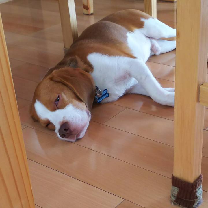 17f46b33 a276 4243 9a67 bbafdea0831e 1538874144766