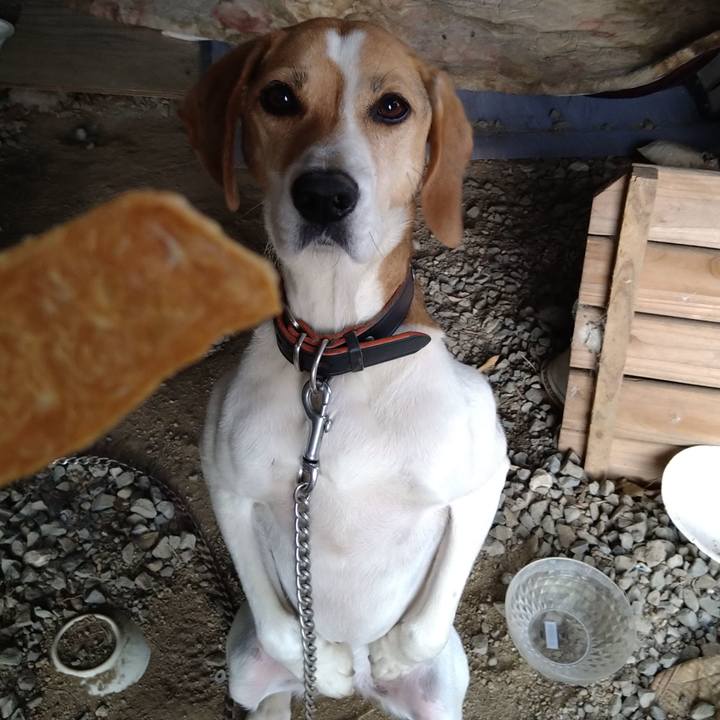 17f49b9f fa52 45cd b62c e9439d7b7026 1654672944738