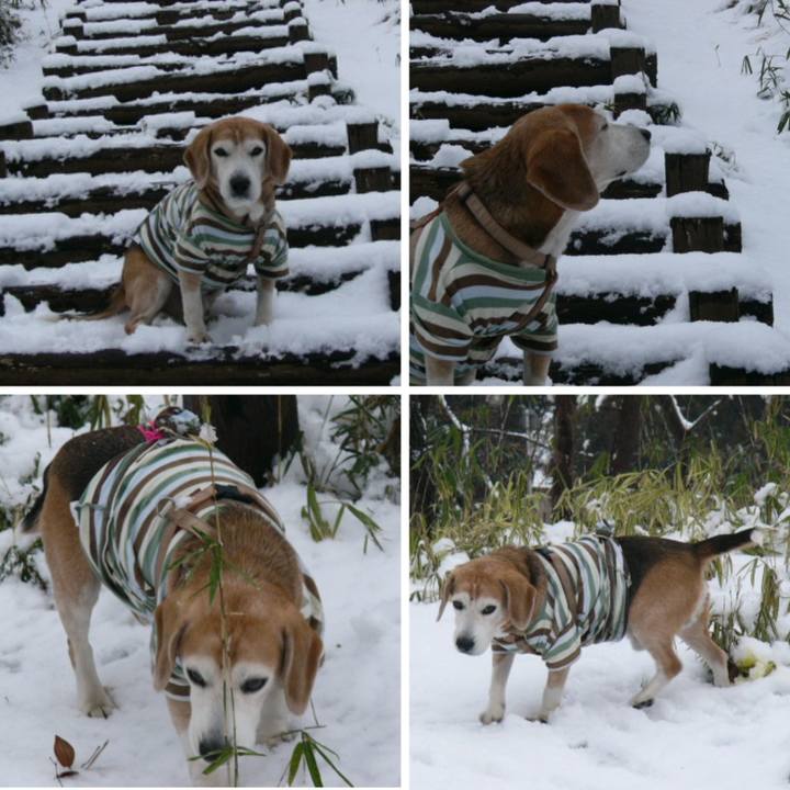 17f4af59 7af5 4b60 be3e 60fe83c3ec82 1649811103283