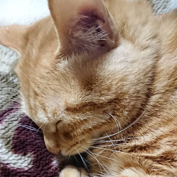 17f4c02e 7b61 4632 b694 3303046f8c65 1640262189288