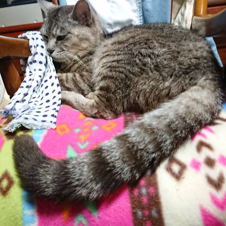 17f4f4f8 b763 4af0 86bd 0f543ab46e4b 1565438362451