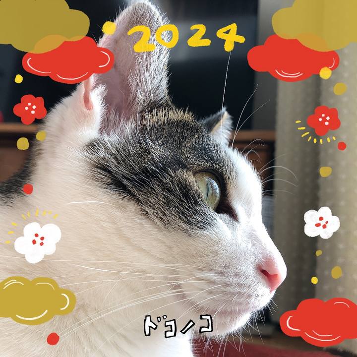 17f4f7e5 5693 40cb b08a c8b376ceea71 1704200633324