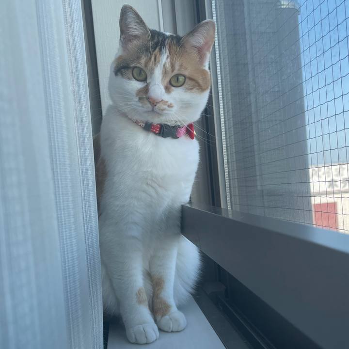 17f51ce3 4e9e 477b 9188 91c9bc1caab4 1615940612951