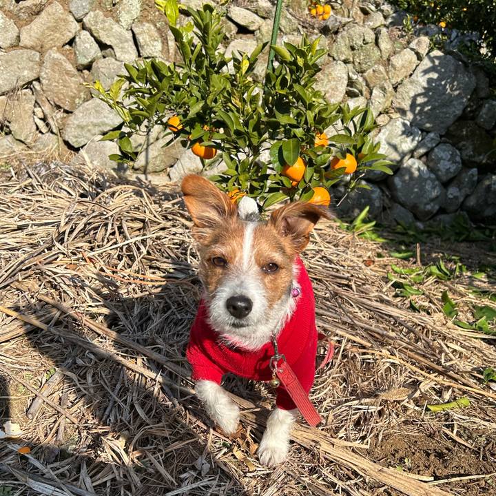 17f5ca54 ca8c 4fa8 8780 b88b9bace1ce 1765341858696