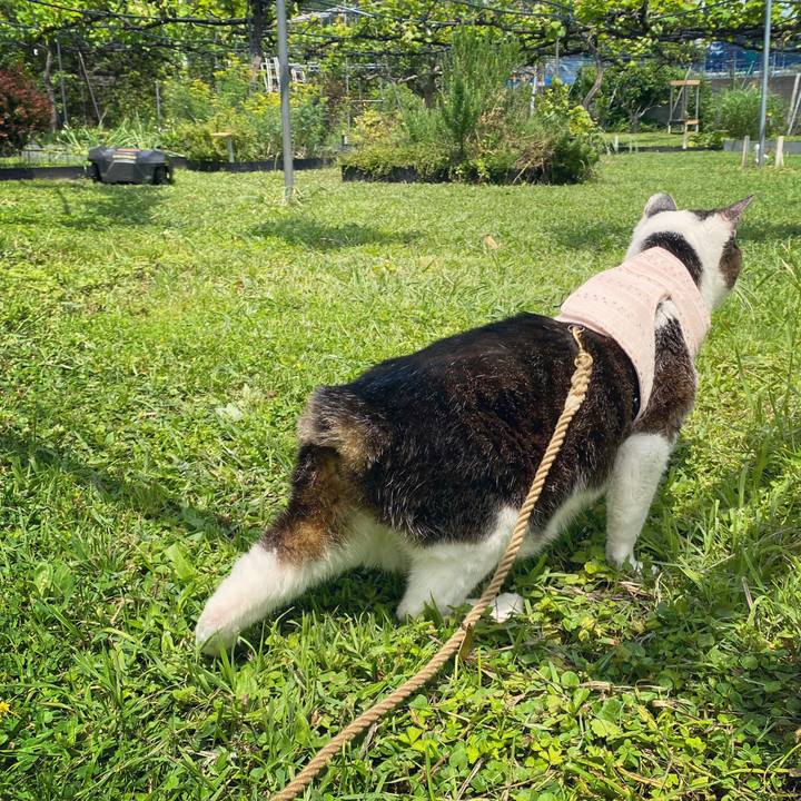 17f60684 e006 4893 bf0d d9c1c947da9e 1621749766413