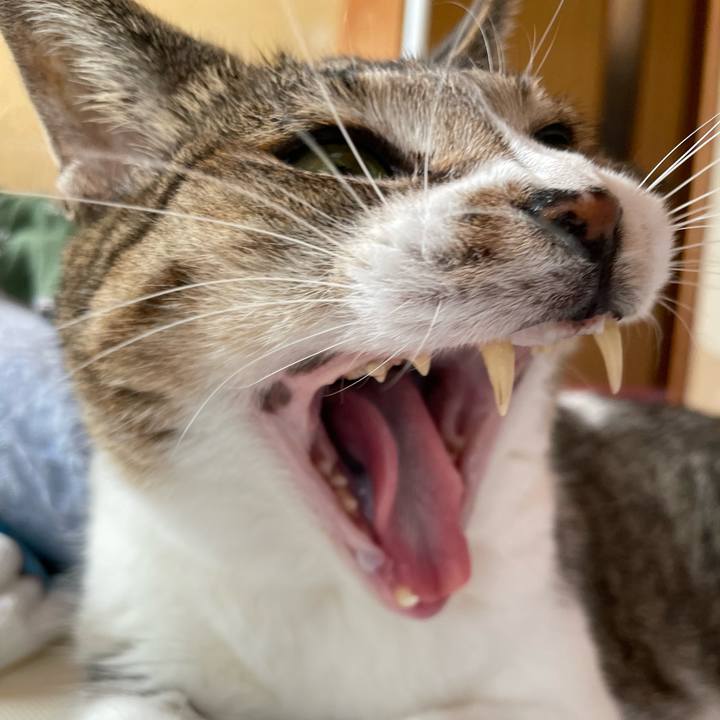 17f62d3a b8c4 4eb4 a6ee 66852d2c6120 1634438822269