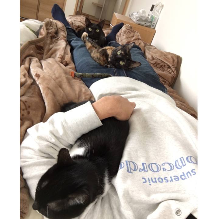 17f63c0d be66 470d a8dc 893db22b086e 1543218812022