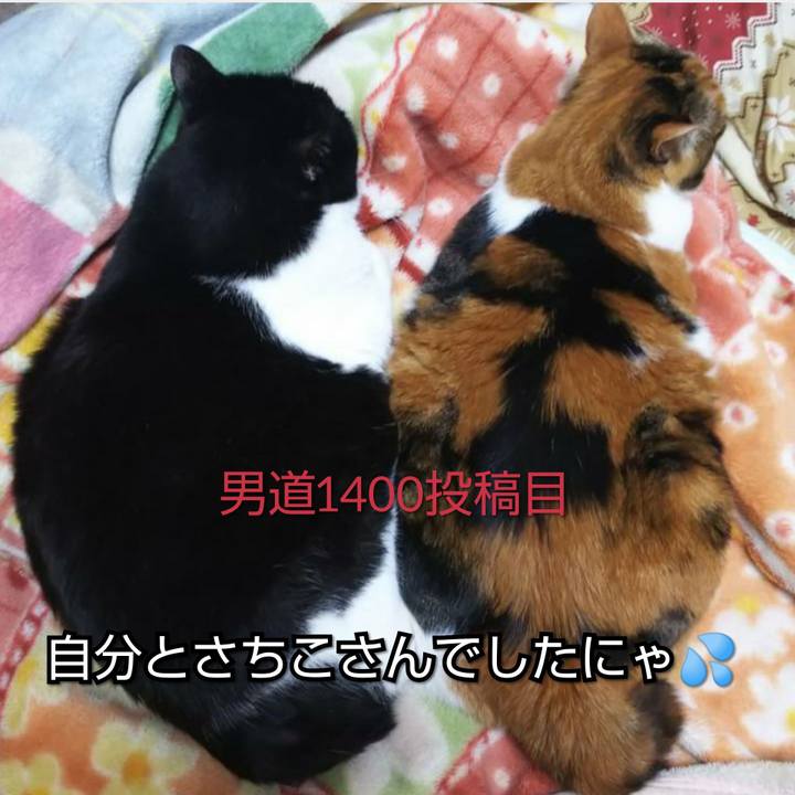 17f65be5 5311 45f4 b916 bb3fd276db95 1561952265172