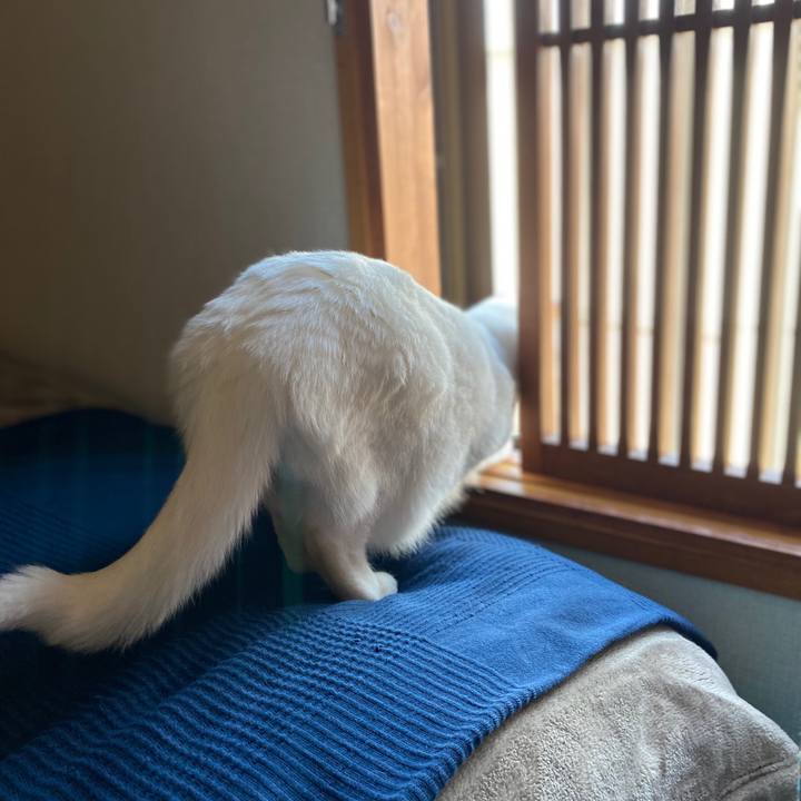 17f664bc 5297 4d16 851d 7d8beed191b4 1580779753648